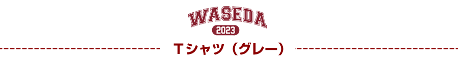 Tシャツ｜2023早稲田大学ご卒業記念品・ご入学記念品：名入れグッズ特集