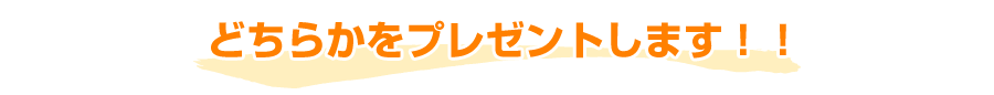 どちらかプレゼント